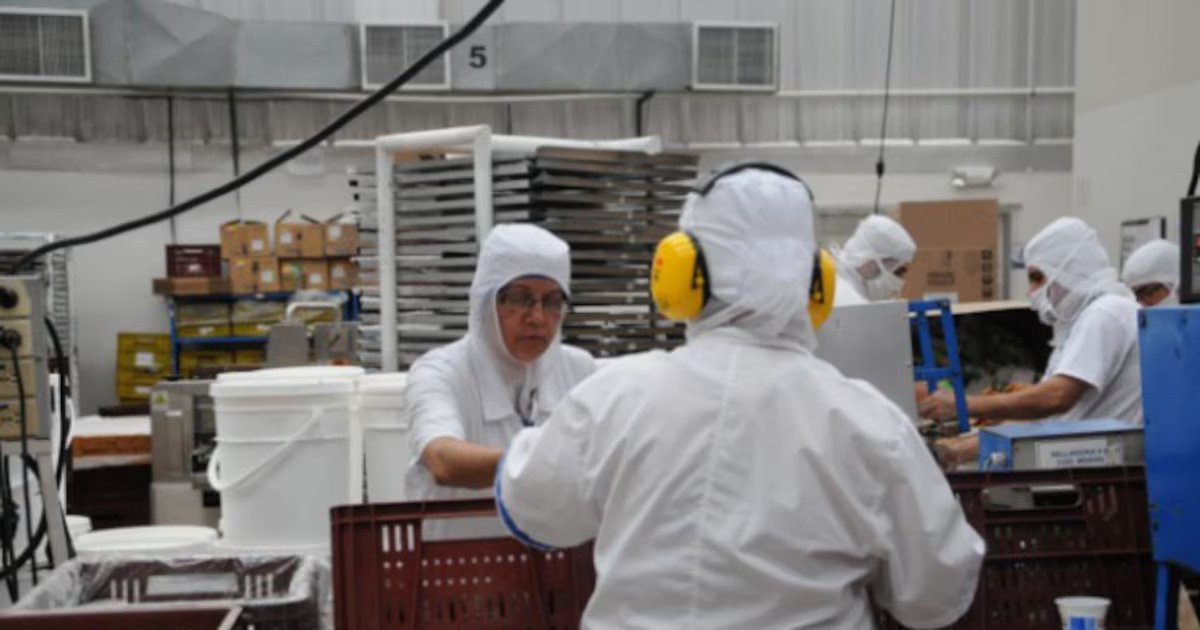 Gobierno Petro adelantó cuáles serán las medidas con las que ayudarán a las empresas a sobrellevar el aumento del salario mínimo