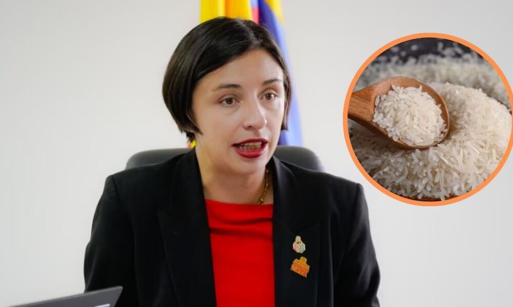 Gobierno define precios regulados y apoyo económico para enfrentar la cosecha de arroz de 2026