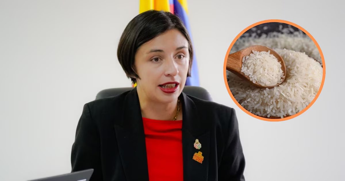 Gobierno define precios regulados y apoyo económico para enfrentar la cosecha de arroz de 2026