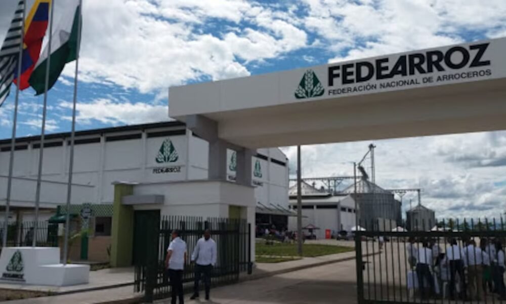 La Federación Nacional de Arroceros sostiene legalidad de proyectos tras informe de la Contraloría