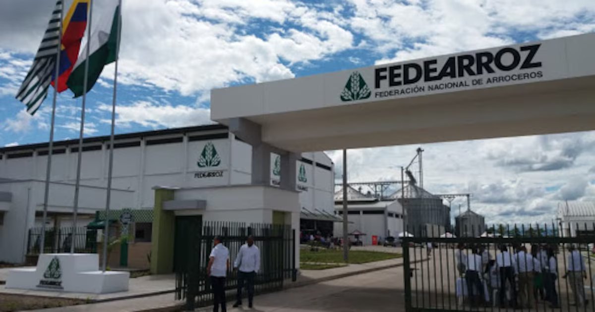 La Federación Nacional de Arroceros sostiene legalidad de proyectos tras informe de la Contraloría