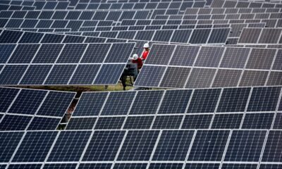 Las acciones solares chinas se disparan tras informaciones sobre visitas de Tesla