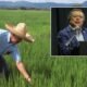 Líder agro arremetió contra Petro y aseguró que los subsidios al arroz “son una burla” en medio de la crisis climática