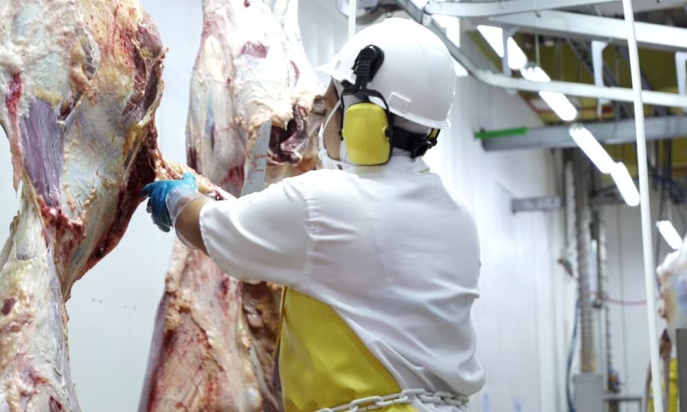 Los ganaderos respondieron a Gustavo Petro y dijeron cuáles son las verdaderas razones del aumento en el precio de la carne