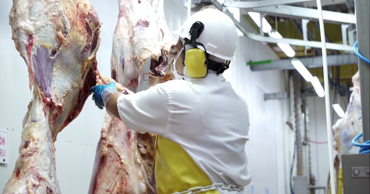 Los ganaderos respondieron a Gustavo Petro y dijeron cuáles son las verdaderas razones del aumento en el precio de la carne