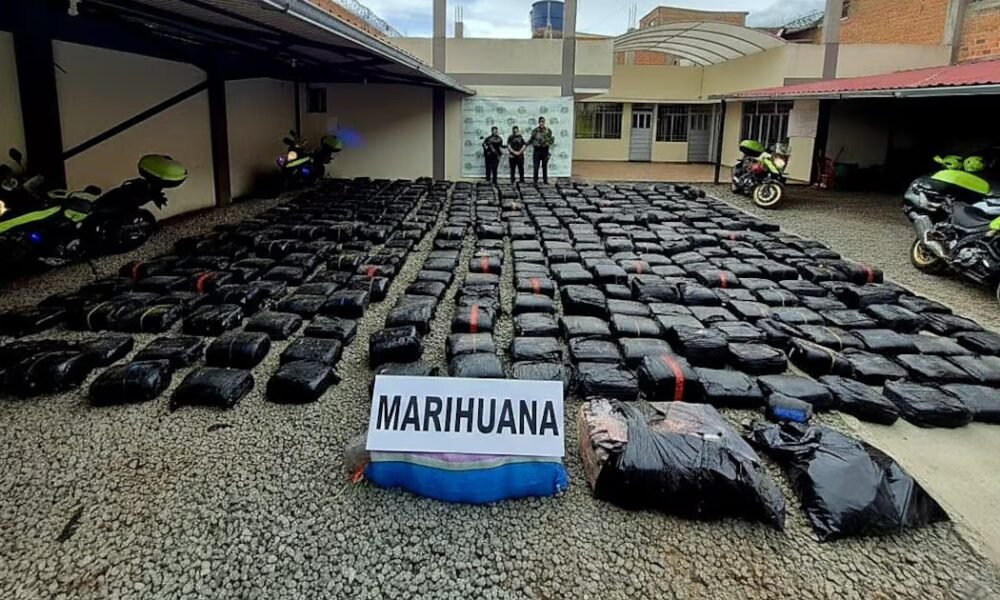 Policía afectó las finanzas del narcotráfico tras la incautación de más de dos toneladas de marihuana en vía de Nariño