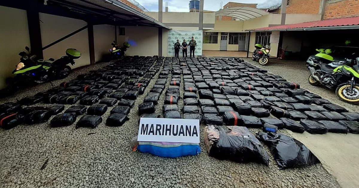 Policía afectó las finanzas del narcotráfico tras la incautación de más de dos toneladas de marihuana en vía de Nariño
