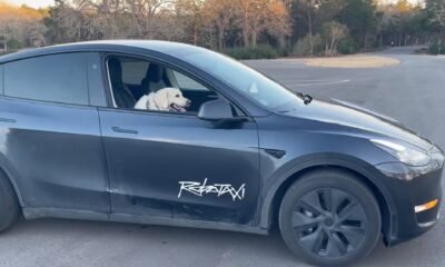 Promete 2.000.000 de robotaxis en 1 año, pero Elon Musk sabe que es un número imposible para Tesla