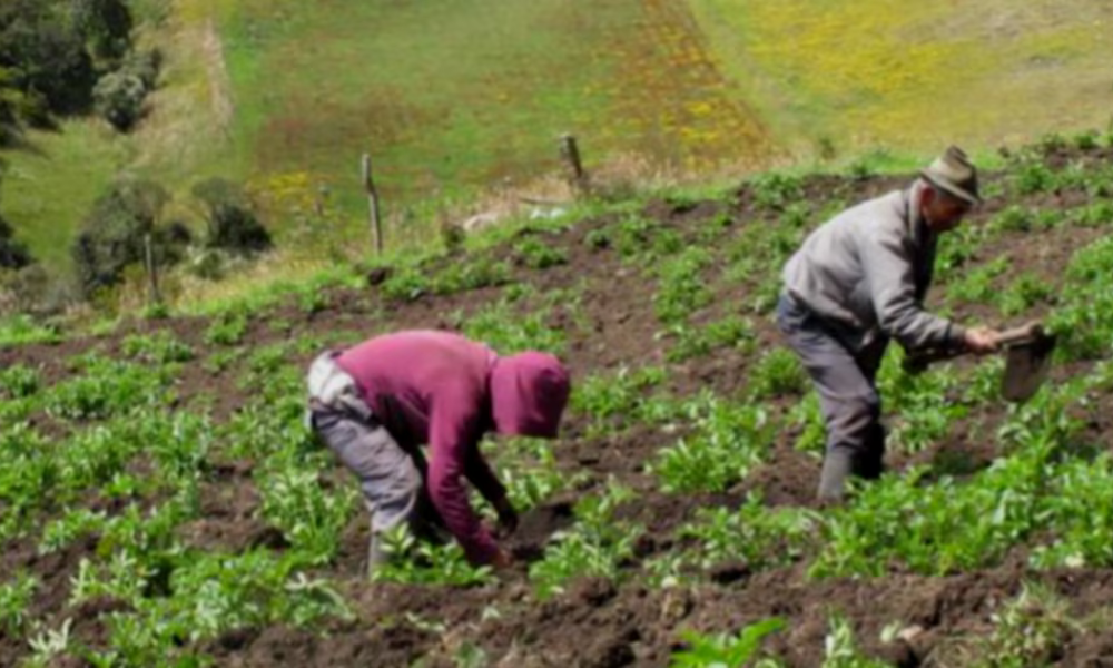 Proponen modelo de corresponsabilidad total para impulsar la reactivación económica y formalizar el campo en Colombia