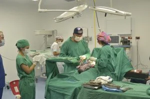 natalidad en Risaralda — Natalidad en Risaralda cae a su nivel más bajo en 20 años: 6.952 nacimientos en