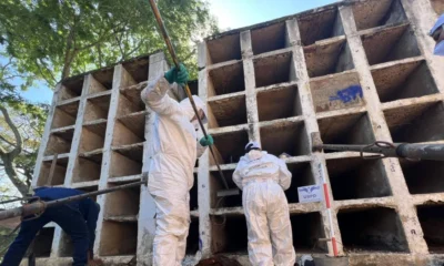 exhumaciones en Cauca — Exhumaciones en Cauca: JEP recupera 8 cuerpos en búsqueda de víctimas del confli