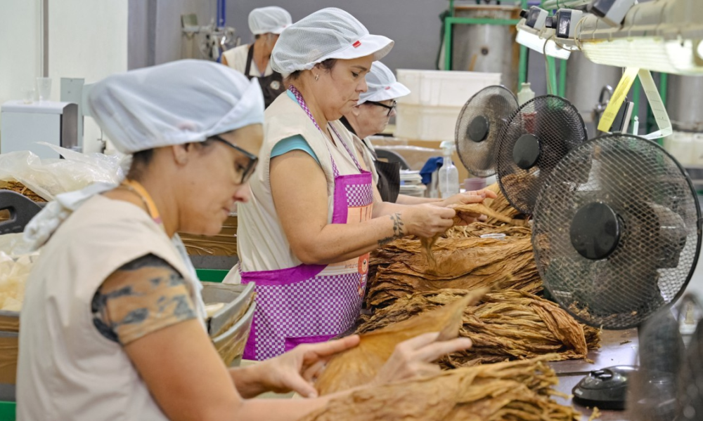 reporte empresarial del Valle — Reporte empresarial del Valle: 77 de cada 100 pesos regresan a la sociedad