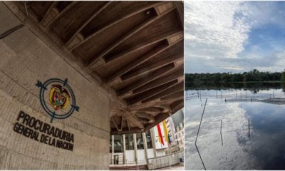 títulos y experiencia de Luis Castro no cumplirían el perfil técnico exigido para el cargo