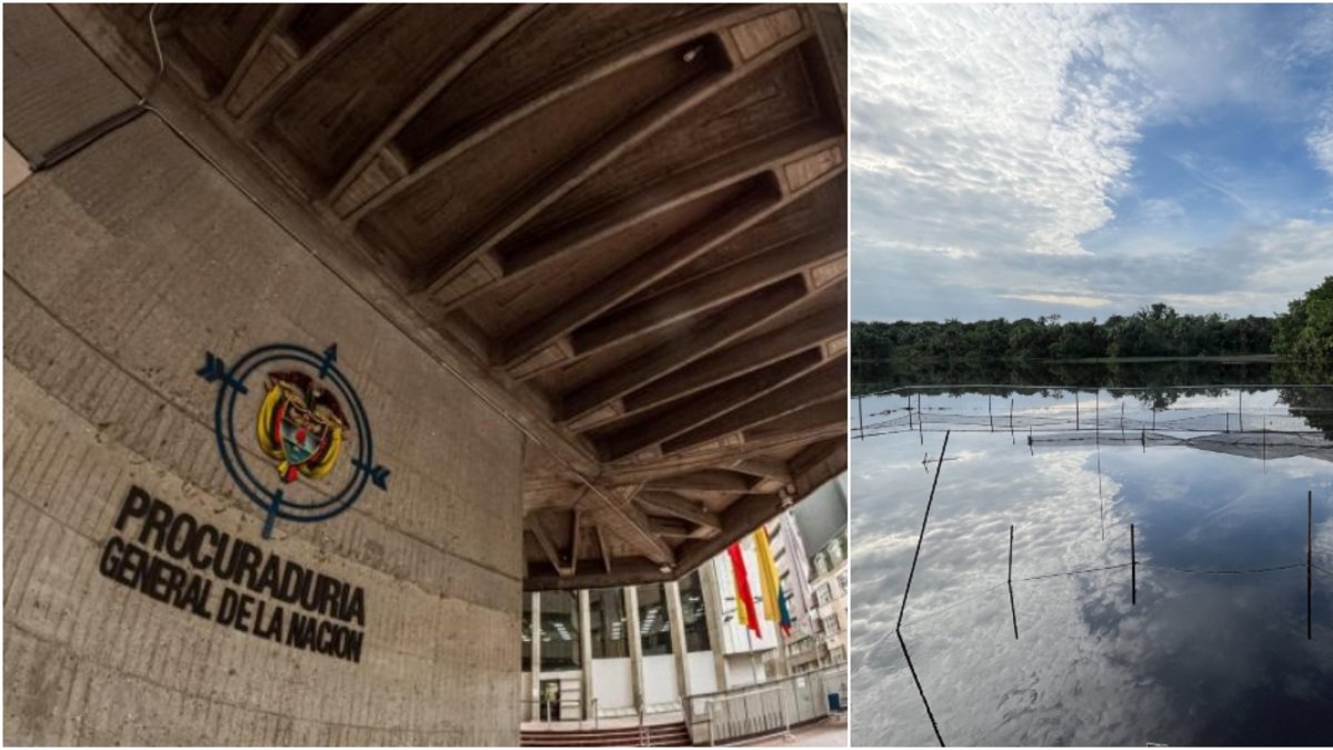 títulos y experiencia de Luis Castro no cumplirían el perfil técnico exigido para el cargo
