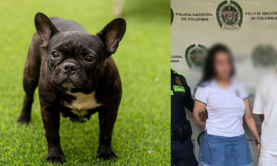 capturaron a dos personas por maltrato animal