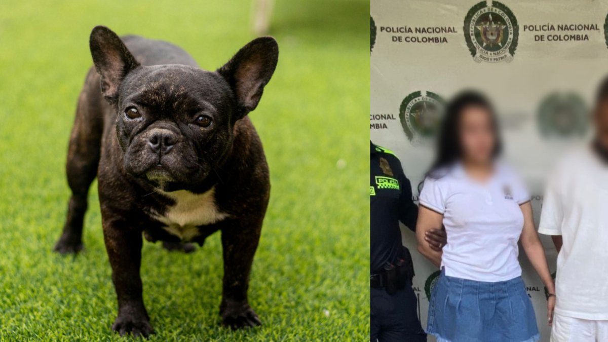 capturaron a dos personas por maltrato animal