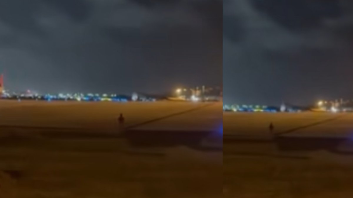 quería 'acercarse a los aviones'