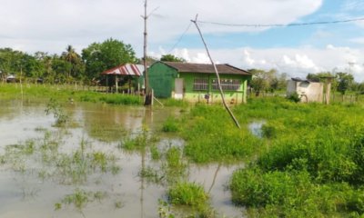 En La Mojana sucreña se incrementan las inundaciones y se pierden los cultivos de una veintena de productos
