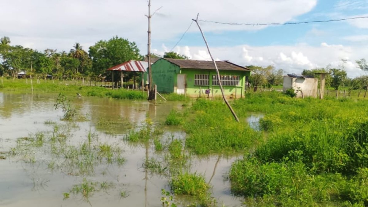 En La Mojana sucreña se incrementan las inundaciones y se pierden los cultivos de una veintena de productos
