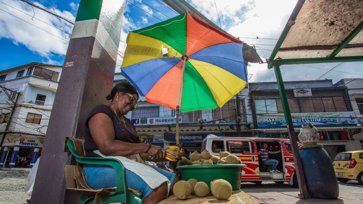 radiografía de riesgos, homicidios de ellas al alza, cuidado, brechas económicas y menos empleo e ingresos.