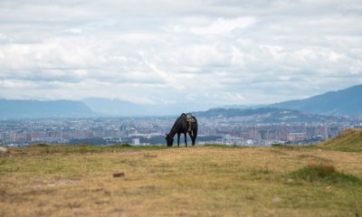 Esta es la zona rural de Bogotá que mide siete veces el parque Simón Bolívar y podría conectarse con el páramo de Sumapaz.