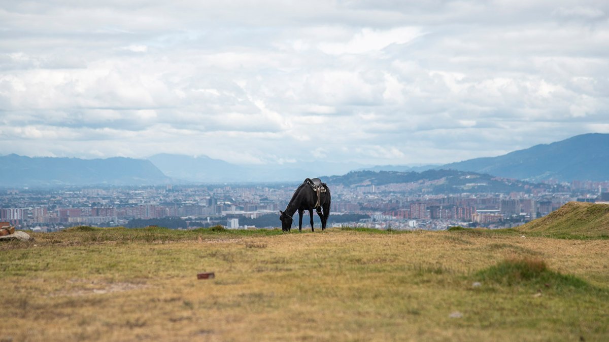 Esta es la zona rural de Bogotá que mide siete veces el parque Simón Bolívar y podría conectarse con el páramo de Sumapaz.