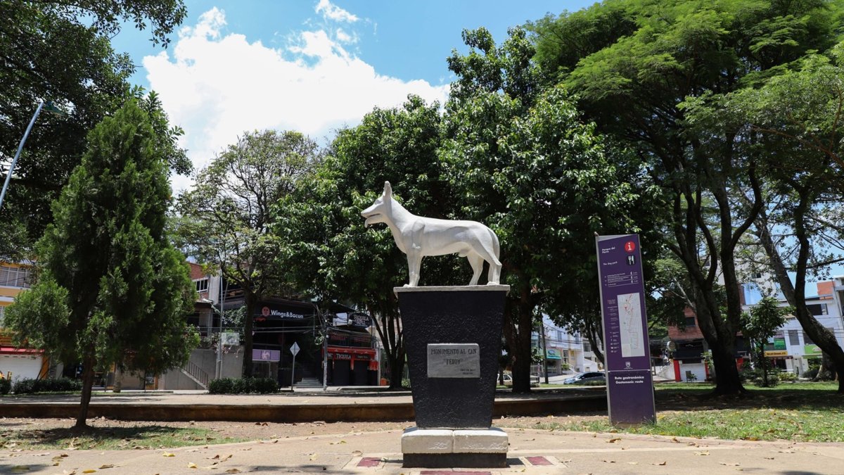 esta es la pista para capturarlos