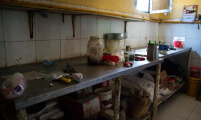 Autoridades clausuran panadería en Soledad, Atlántico, tras encontrar cucarachas y un gato dentro del área de producción