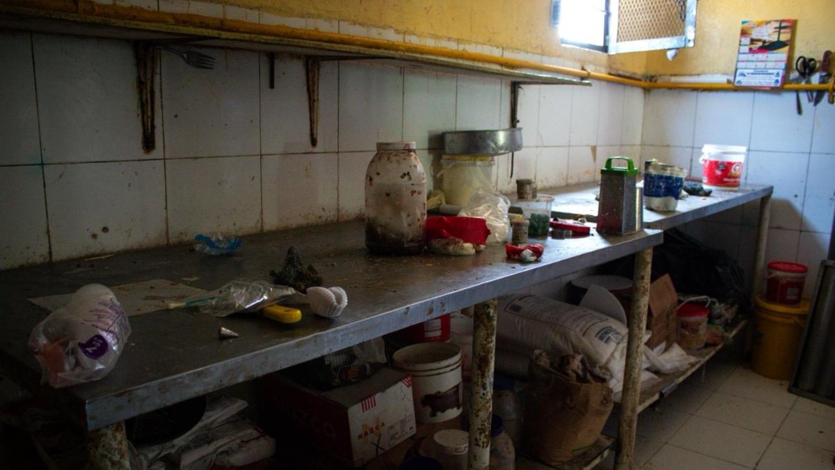 Autoridades clausuran panadería en Soledad, Atlántico, tras encontrar cucarachas y un gato dentro del área de producción