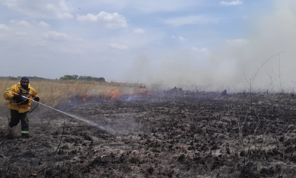 incendios en Wisirare — Incendios en Wisirare: 900 hectáreas del bioparque destruidas en Casanare