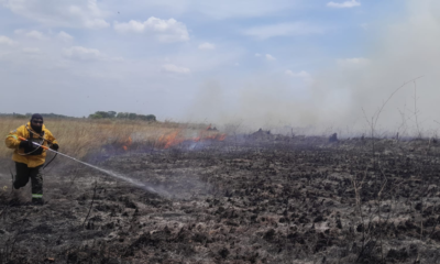 incendios en Wisirare — Incendios en Wisirare: 900 hectáreas del bioparque destruidas en Casanare