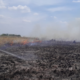 incendios en Wisirare — Incendios en Wisirare: 900 hectáreas del bioparque destruidas en Casanare