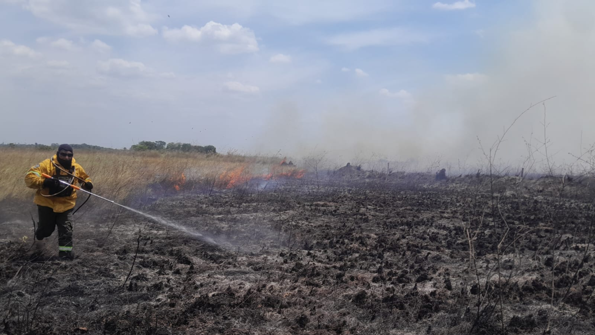 incendios en Wisirare — Incendios en Wisirare: 900 hectáreas del bioparque destruidas en Casanare