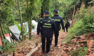 bebé abandonado en Pereira — Bebé encontrada en basurero de Pereira fue asesinada: forenses confirman que nac
