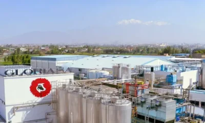 Cierre de producción de leche en Colombia: Grupo Gloria se retira tras 14 años