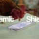 Un gallo picando la pantalla del iPhone
