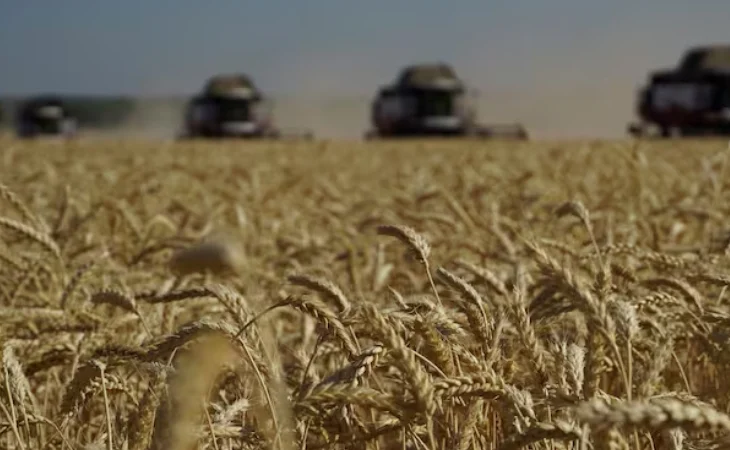 importación de granos en Colombia — Importación de granos sube 10,6 % en 2025: Fenalce advierte sobre dependencia al