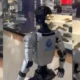 robots de seguridad en Bogotá — Robots de seguridad en Bogotá: cómo operan en centros comerciales
