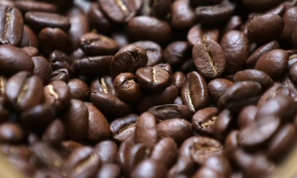 Café colombiano dejó malas noticias en febrero de 2026 por culpa de las lluvias: hay miles de familias afectadas