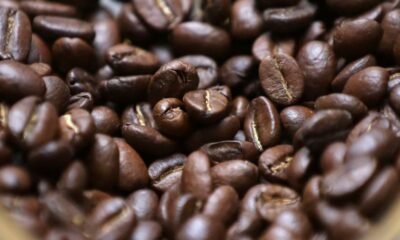 Café colombiano dejó malas noticias en febrero de 2026 por culpa de las lluvias: hay miles de familias afectadas