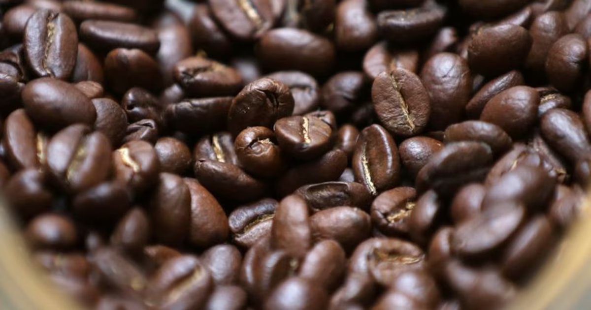 Café colombiano dejó malas noticias en febrero de 2026 por culpa de las lluvias: hay miles de familias afectadas