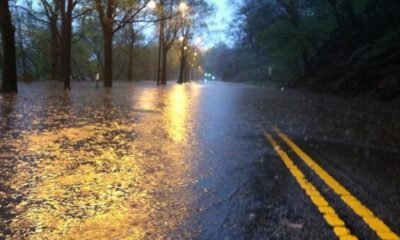 Choque entre un Tesla y un Honda en Kelly Drive deja saldo crítico – Telemundo 62