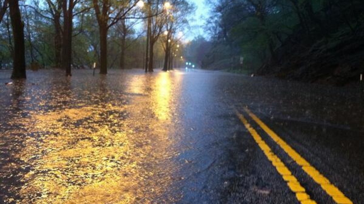 Choque entre un Tesla y un Honda en Kelly Drive deja saldo crítico – Telemundo 62