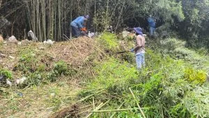 Autoridades erradican foco de inseguridad en Dosquebradas cerca de Comfamiliar