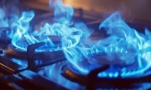 crisis del sector energético colombiano — Crisis del sector energético colombiano: el no pago de subsidios amenaza la pres