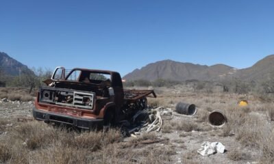 Ni Tesla, ni empleos en Nuevo-León por gigafactory; así luce el lugar- Grupo Milenio