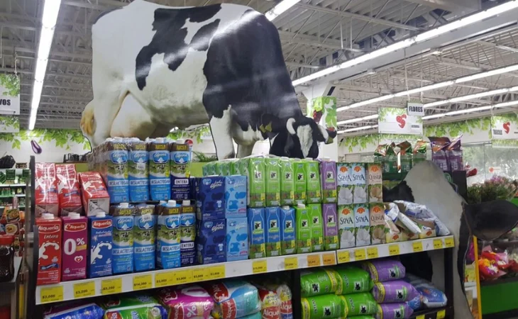 Precio de la leche sube apenas 1,3% mientras costos de producción crecen 23,7%