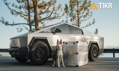 Tesla ha subido un 15% en los últimos 6 meses. Esto es lo que podría impulsar las acciones al alza este año