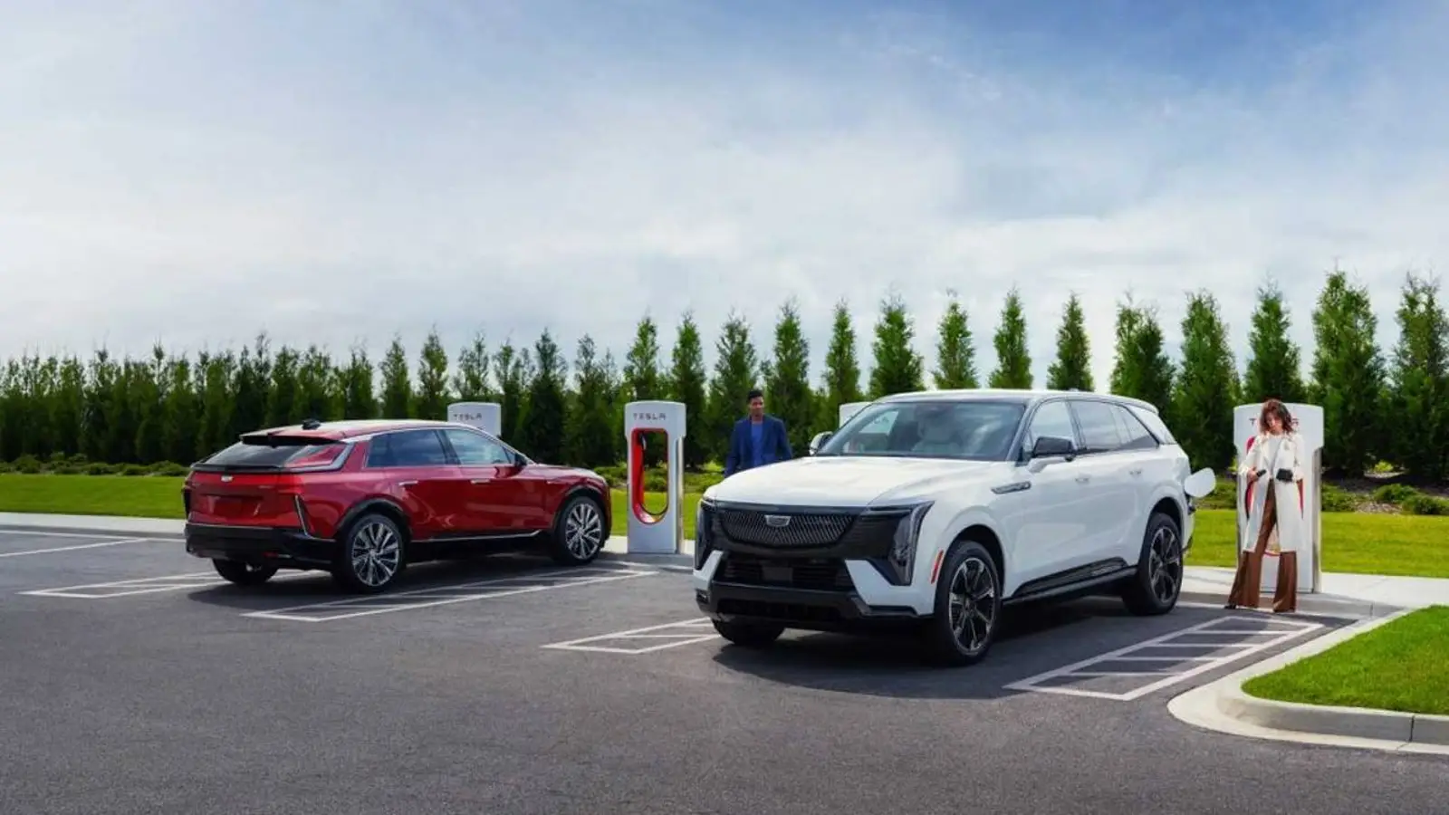 conector NACS y actualizaciones de carga