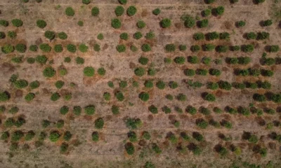 Fenómeno de El Niño se aproxima a Colombia: alerta por reducción de lluvias entre junio y agosto
